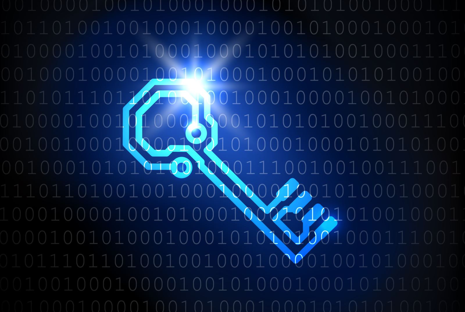 encrypted data meaning encrypted data meaning